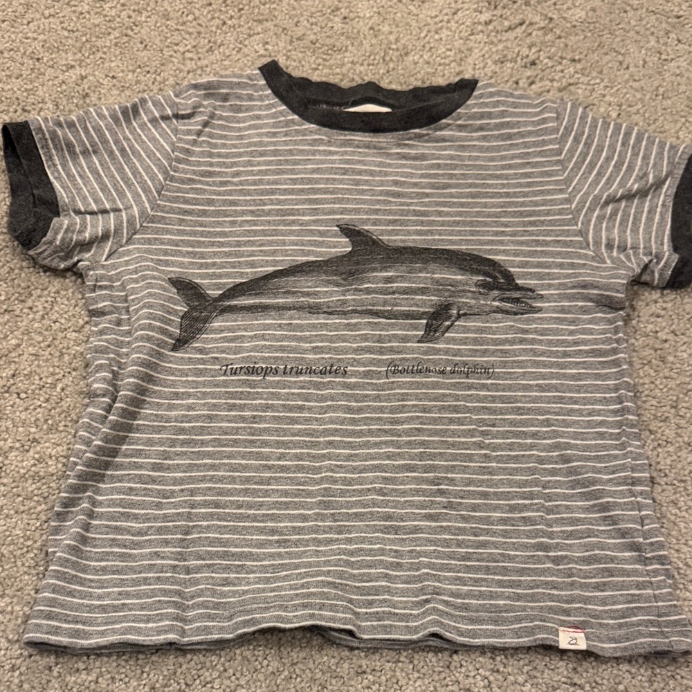 Gray Striped Dolphin Graphic Short Sleeve Tee